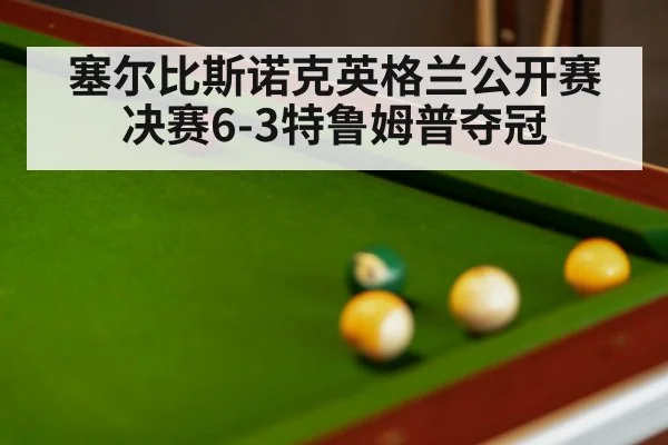 塞尔比斯诺克英格兰公开赛决赛6-3特鲁姆普夺冠
