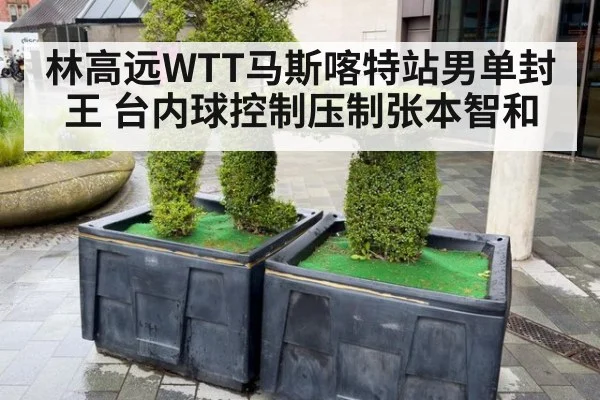 林高远WTT马斯喀特站男单封王 台内球控制压制张本智和
